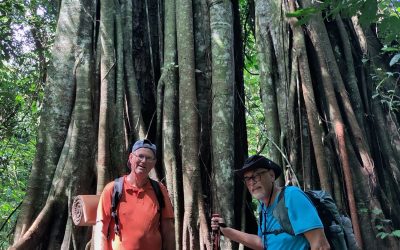 Leuser Ketambe Gallery